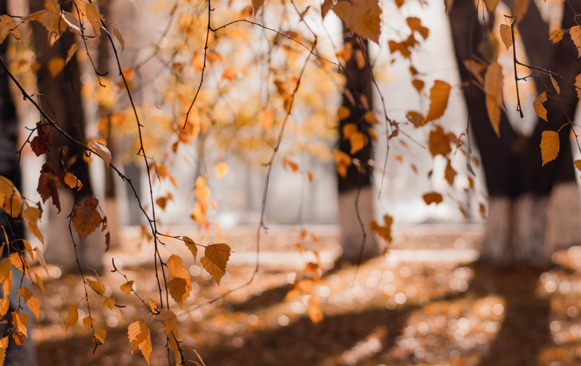 Hete herfst 2021?